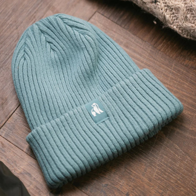 Organic Cotton Beanie In Turquoise