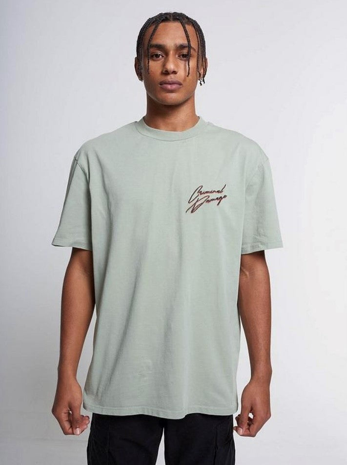 Criminal Damage Fuji T-Shirt in Washed Sage